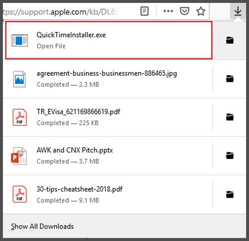 quicktime-downloader-file-8320742